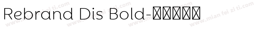 Rebrand Dis Bold字体转换